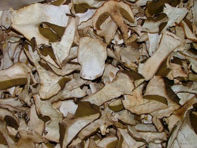 Dried porcini