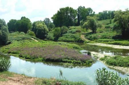 The Greve river near its entry in to the Arno.