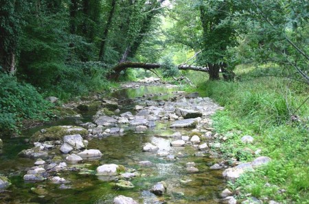 The Greve river as it enters flatter terrain