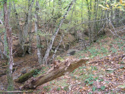 The headwaters of the Greve river