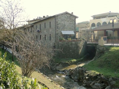 greve river torrente becherale