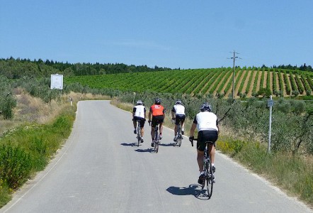 bicycling in Chianti