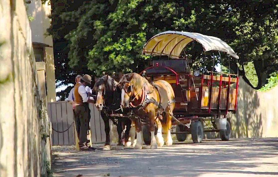 Horse and wagon tours in Tuscany