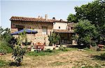 Two apartments for 2 to 5 persons in the quiet countryside of Chianti, Tuscany