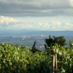 View of Sienna from Il Villino Chianti vacation apartments