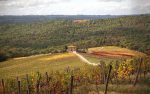 Chianti countryside